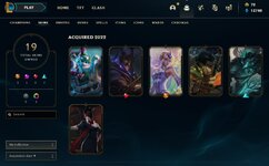 Skins.jpg