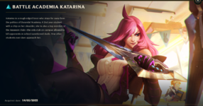 Skin kata.PNG