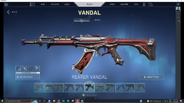 Vandal1.png