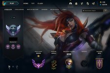 perfil master.jpg