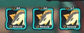 luma nesslas.jpg