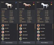 T8 Courser horses.JPG