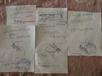IMG_20220614_104338.jpg