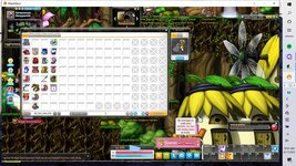 Meso 2.jpg
