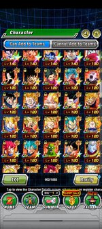 Screenshot_20220618-035440_Dokkan.jpg