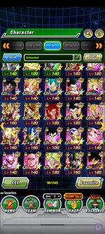 Dokkanfest3.jpg