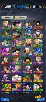 Screenshot_2022-06-24-16-57-18-254_com.bandainamcoent.dblegends_wx.jpg