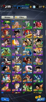 Screenshot_2022-06-24-16-57-23-870_com.bandainamcoent.dblegends_wx.jpg