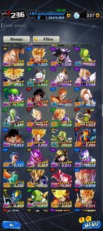 Screenshot_2022-06-24-16-57-59-675_com.bandainamcoent.dblegends_wx.jpg