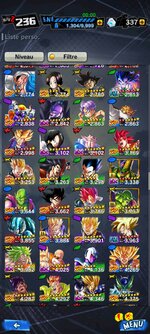 Screenshot_2022-06-24-16-58-16-980_com.bandainamcoent.dblegends_wx.jpg