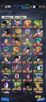 Screenshot_2022-06-24-16-58-40-043_com.bandainamcoent.dblegends_wx.jpg