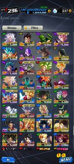 Screenshot_2022-06-24-16-58-45-046_com.bandainamcoent.dblegends_wx.jpg