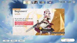 noelle banner 20.jpg