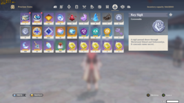 precious_item.png