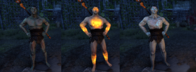 3 Skins.png