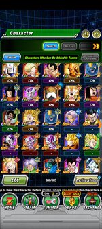 Screenshot_2022-07-04-17-57-50-605_com.bandainamcogames.dbzdokkanww.jpg
