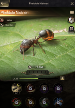 The Ants 2022-07-06 01-09-25.png