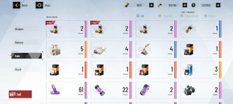 bag.jpg