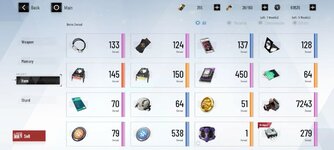 bag 3.jpg