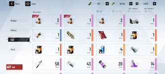 bag.jpg