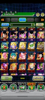 Screenshot_2022-07-14-16-06-04-356_com.bandainamcogames.dbzdokkanww.jpg