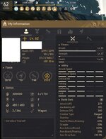MAIN CHAR INFO.JPG
