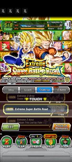 Screenshot_2022-07-19-14-30-30-413_com.bandainamcogames.dbzdokkanww.jpg