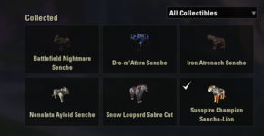 Screenshot_7.png