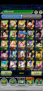 Screenshot_20220720-154112_Dokkan.jpg