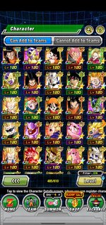 Screenshot_20220720-154057_Dokkan.jpg