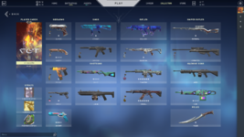 valorant account skins.png