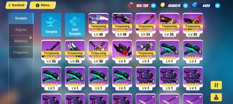Screenshot_20220808-180852_Honkai Impact 3.jpg