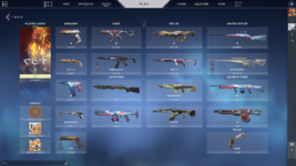 VALORANT   11_08_2022 13_24_09.png
