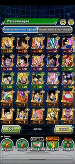 Dokkan 1.jpg