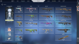 VALORANT   13_08_2022 16_18_54.png