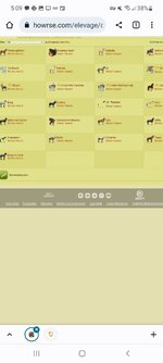Screenshot_20220814-170958_Chrome.jpg