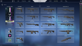 collection.png