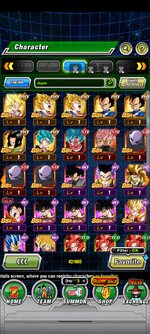 Screenshot_2022-08-22-09-29-56-954_com.bandainamcogames.dbzdokkanww.jpg