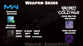 Weapon Skins.png