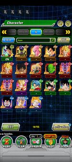 Screenshot_2022-09-01-08-34-27-295_com.bandainamcogames.dbzdokkanww.jpg