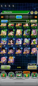 Screenshot_2022-09-02-08-55-39-958_com.bandainamcogames.dbzdokkanww.jpg