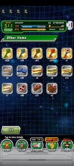Screenshot_2022-09-03-20-55-29-892_com.bandainamcogames.dbzdokkanww.jpg
