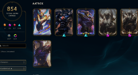 skins 1.PNG