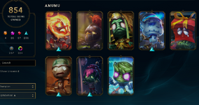 skins 5.PNG