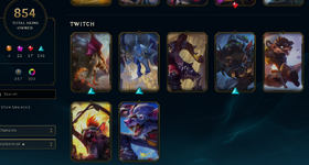 skins 100.PNG