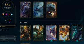 skins 110.PNG
