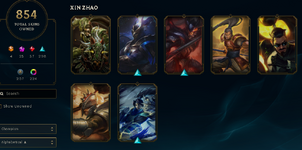skins 113.PNG