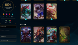 skins 118.PNG