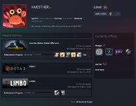 steam profile.PNG