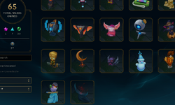 wards 5.PNG
